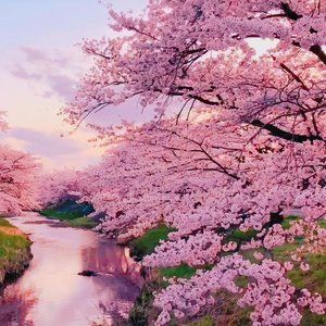 Meet your Posher, Maggie